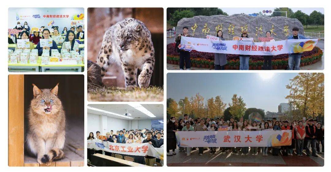 25三大关键词：科研、智造、公益AG真人试玩平台麦富迪品牌20(图5)