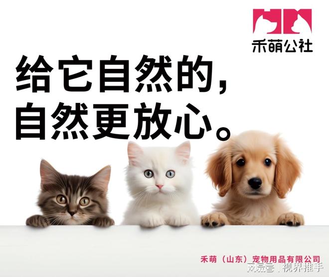 为中型犬定制的均衡能量配方AG真人旗舰厅禾萌公社：(图2)