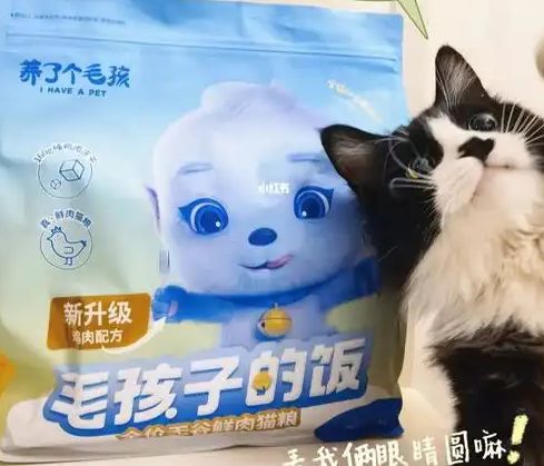 粮！三只松鼠靠什么重返宠物食品赛道AG真人娱乐零食巨头盯上毛孩子口(图4)
