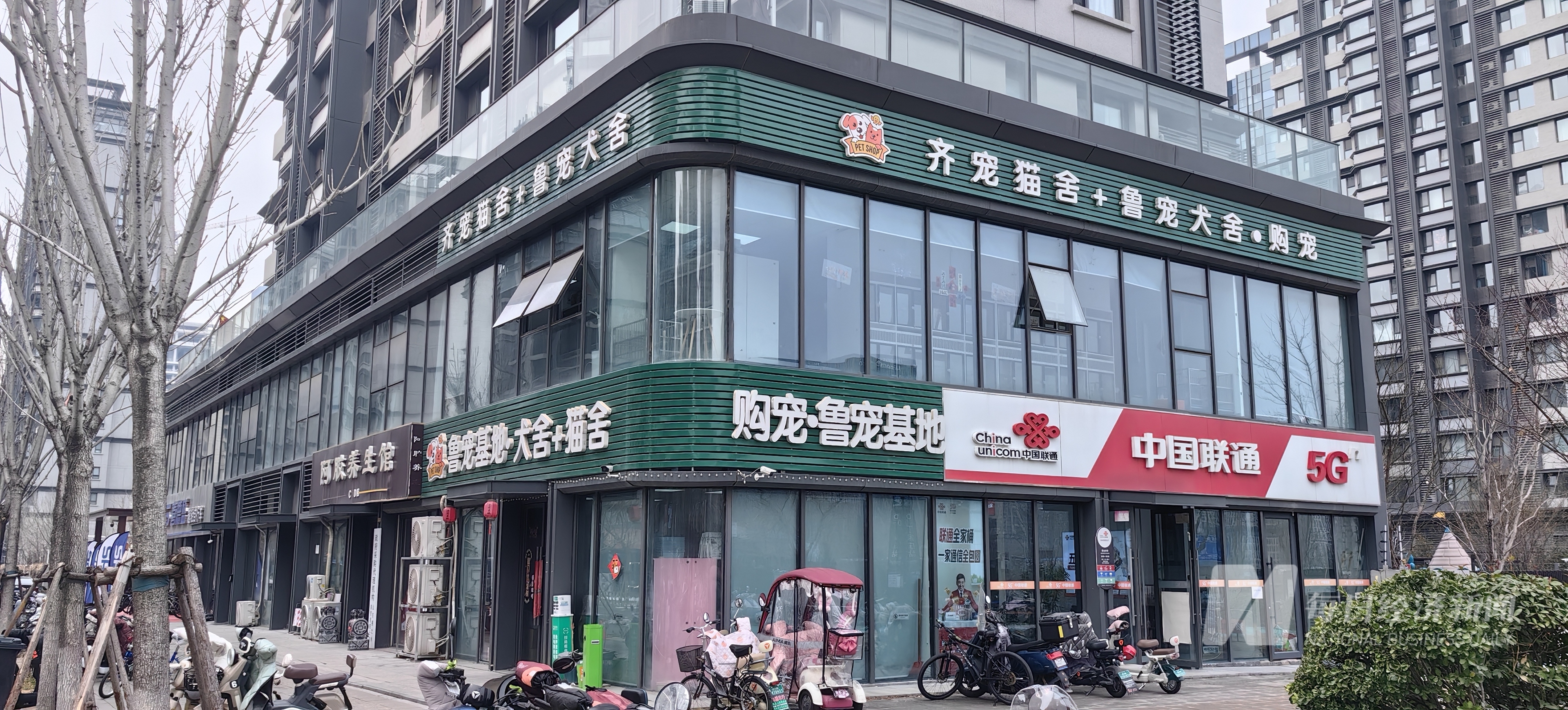 加中药宠物从“吃饱”转型“吃好” 国产品牌崛起驱动万亿元市场AG真人app“2025 宠物消费·智享未来报告”｜狗粮也(图3)