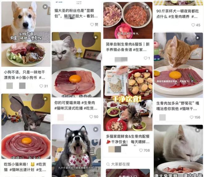 物吃上了鲜食 Flywheel飞未AG真人直营还在吃预制菜的人让宠(图5)